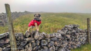 Highfolds Scar, Malham – Wild Camp #020