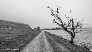 Highfolds Scar, Malham – Wild Camp #020
