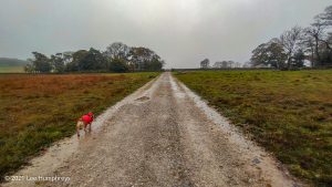 Highfolds Scar, Malham – Wild Camp #020
