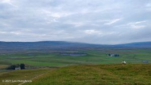 Highfolds Scar, Malham – Wild Camp #020