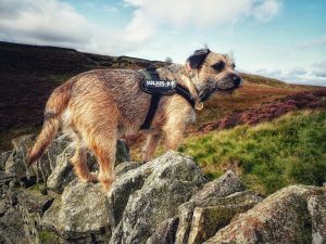 Hitching Stone Hike