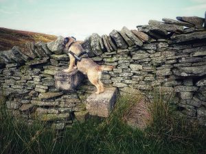 Hitching Stone Hike