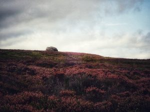 Hitching Stone Hike