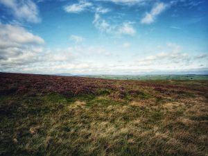 Hitching Stone Hike