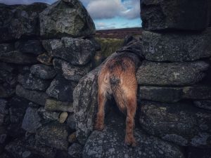 Hitching Stone Hike