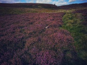 Hitching Stone Hike