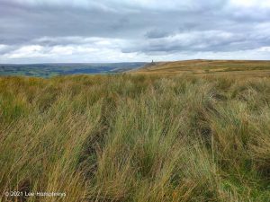 Stoodley Pike | The Holder Stones