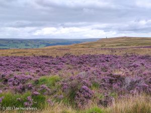 Stoodley Pike | The Holder Stones