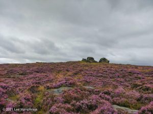 The Holder Stones
