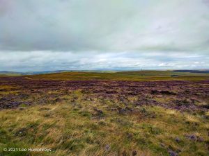 Stoodley Pike | The Holder Stones