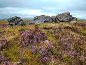 The Holder Stones