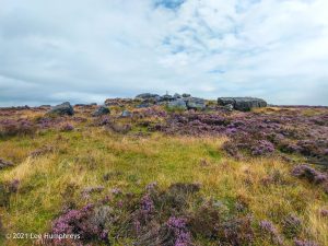 Holder Stones Recce (23)