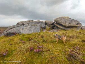 The Holder Stones