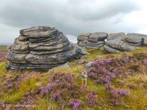 The Holder Stones