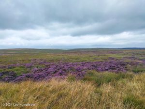 Stoodley Pike | The Holder Stones