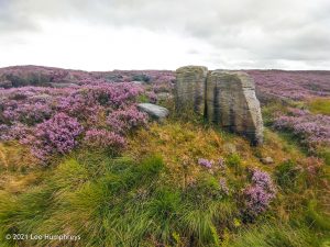 The Cloven Stone | The Holder Stones