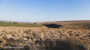 Hoof Stones Height – Wild Camp #028
