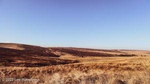 Hoof Stones Height – Wild Camp #028