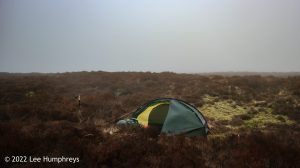 Hoof Stones Height – Wild Camp #028