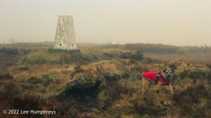 Hoof Stones Height – Wild Camp #028