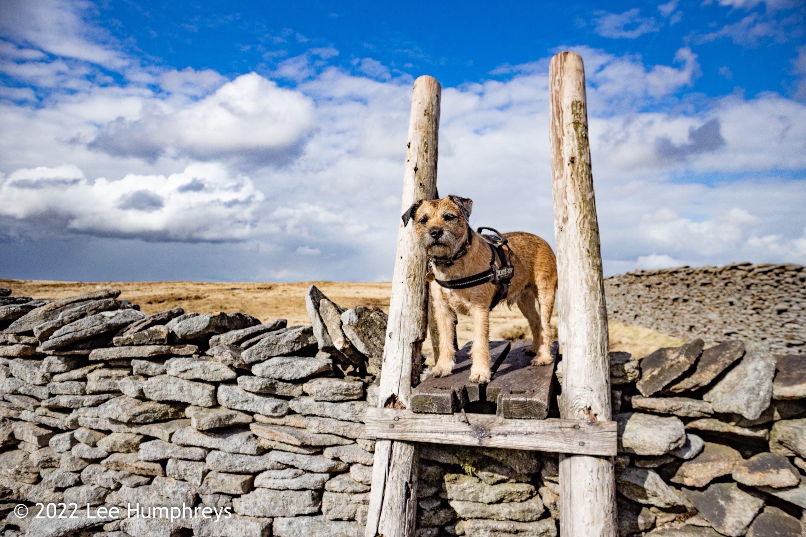 Pen-y-ghent & Plover Hill