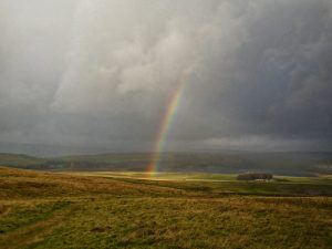 Kirkby Fell – Wild Camp #005