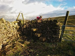 Kirkby Fell – Wild Camp #005