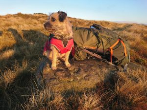 Kirkby Fell – Wild Camp #005