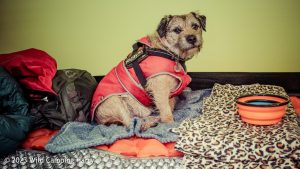 Lad Law, Trawden – Wild Camp #043