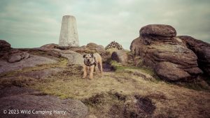 #043: Lad Law, Trawden