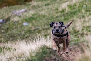 Lingmoor Tarn, Lake District – Wild Camp #039
