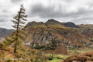 Lingmoor Tarn, Lake District – Wild Camp #039
