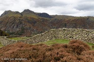 Lingmoor Tarn, Lake District – Wild Camp #039
