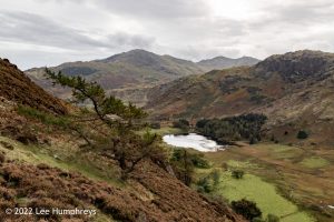 Blea Tarn, Lake District – Wild Camp #039