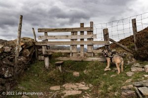 Lingmoor Tarn, Lake District – Wild Camp #039