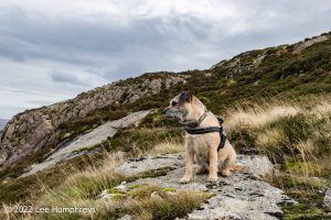 Lingmoor Tarn, Lake District – Wild Camp #039