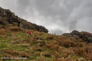 Lingmoor Tarn, Lake District – Wild Camp #039