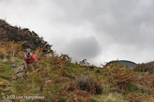 Lingmoor Tarn, Lake District – Wild Camp #039