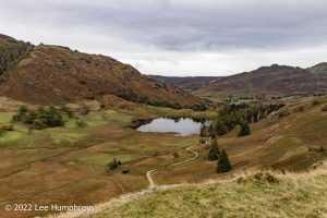 Blea Tarn, Lake District – Wild Camp #039