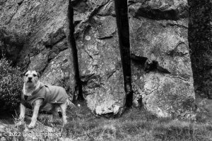 Lingmoor Tarn, Lake District – Wild Camp #039