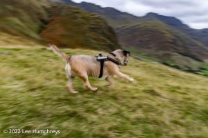 Lingmoor Tarn, Lake District – Wild Camp #039
