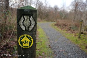 Loch Valley, Galloway Forest Park – Wild Camp #024