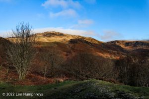 Loch Valley, Galloway Forest Park – Wild Camp #024