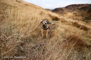 Loch Valley, Galloway Forest Park – Wild Camp #024