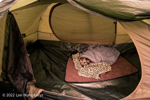 Loch Valley, Galloway Forest Park – Wild Camp #024