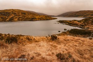 Loch Valley, Galloway Forest Park – Wild Camp #024