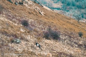 Loch Valley, Galloway Forest Park – Wild Camp #024