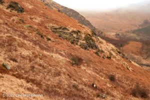 Loch Valley, Galloway Forest Park – Wild Camp #024