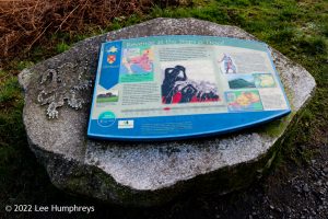 Loch Valley, Galloway Forest Park – Wild Camp #024