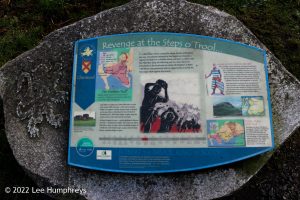 Loch Valley, Galloway Forest Park – Wild Camp #024